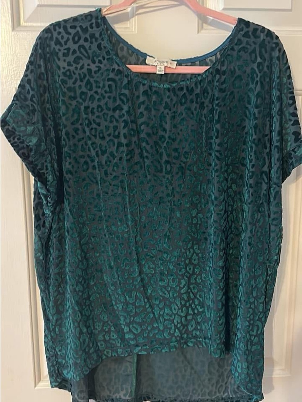 Umgee Teal Velvet Burnout Leopard Tunic